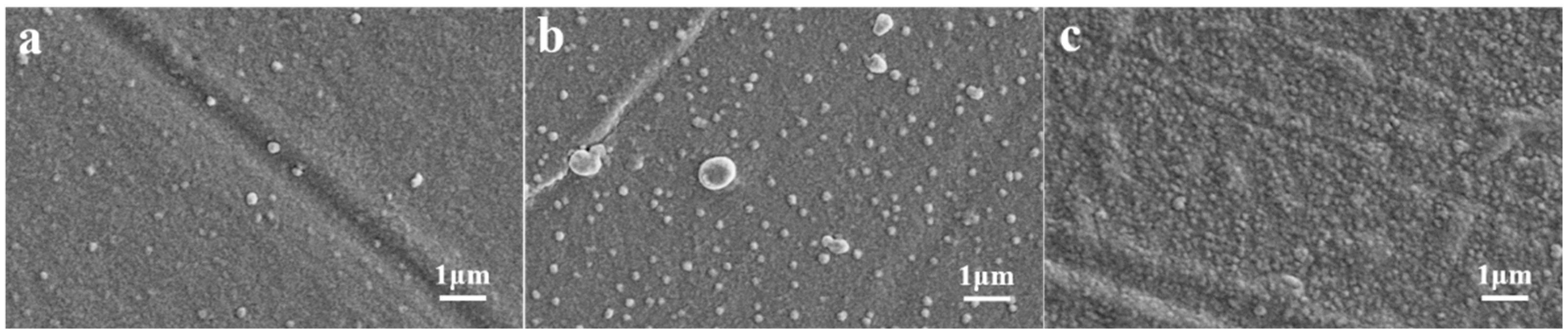 Polymers 16 02730 g005