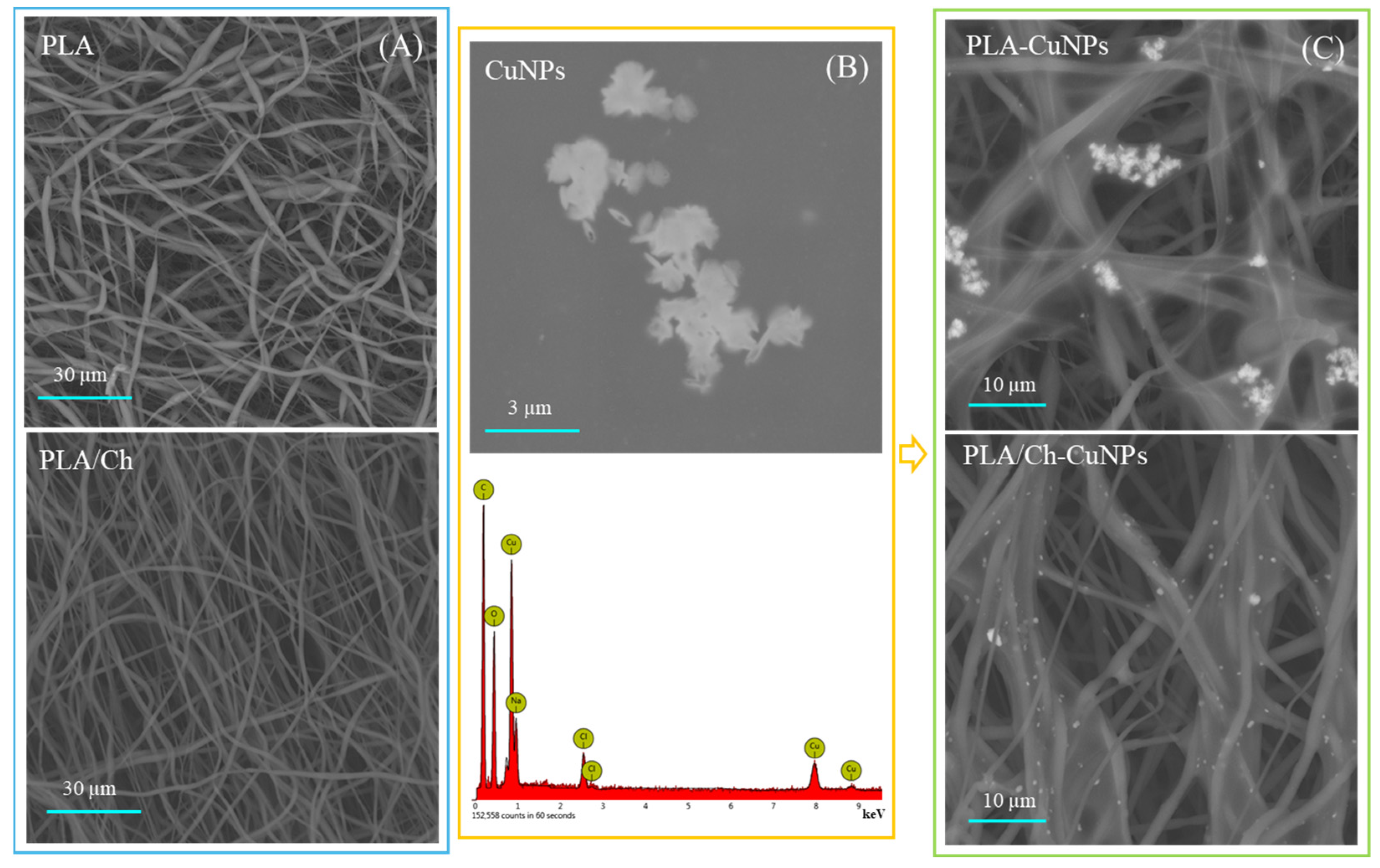 Polymers 16 02733 g001