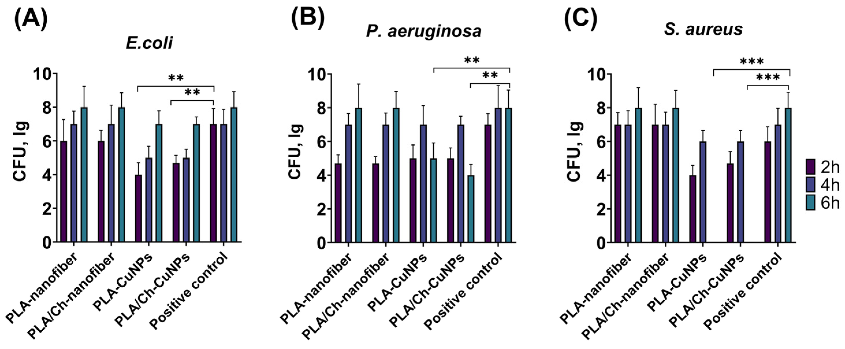 Polymers 16 02733 g002