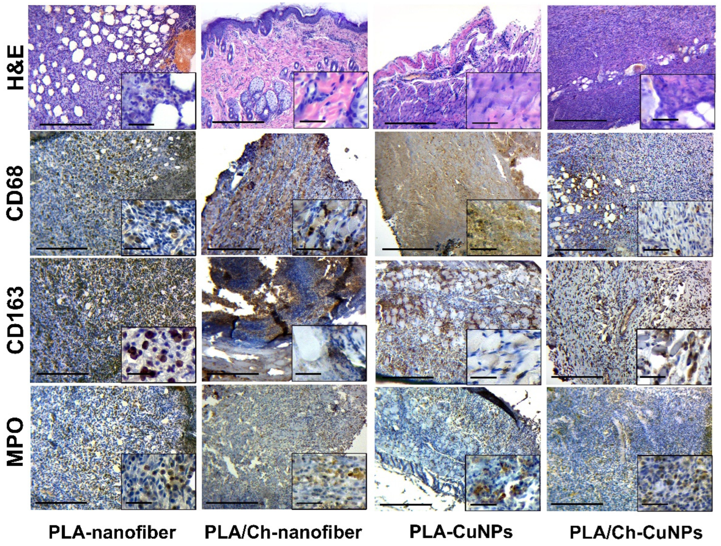 Polymers 16 02733 g006