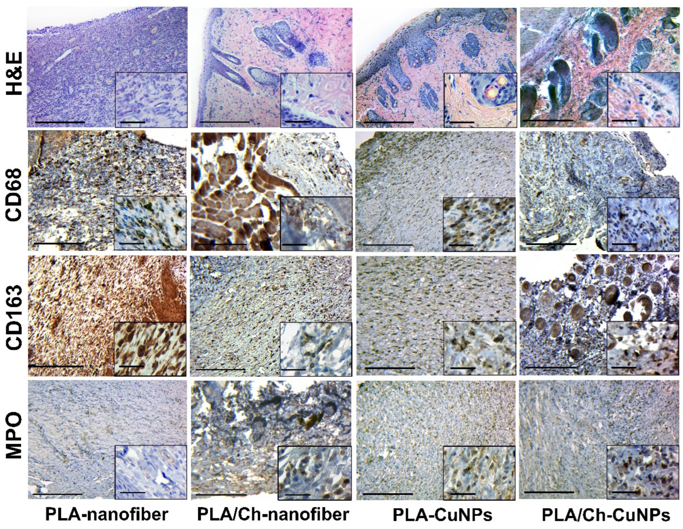 Polymers 16 02733 g008