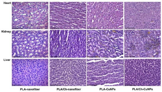 Polymers 16 02733 g0a2