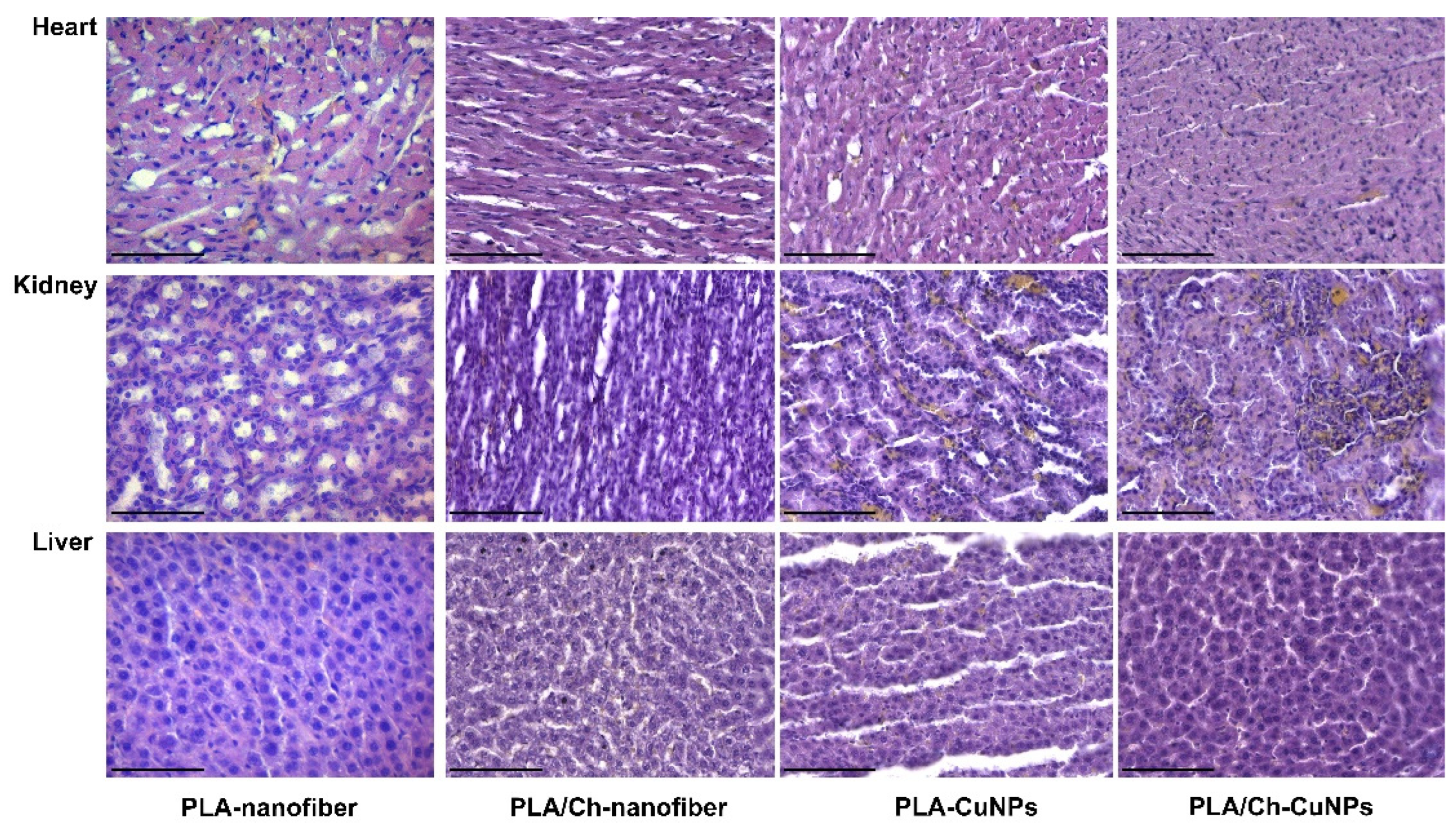 Polymers 16 02733 g0a2