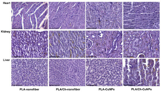 Polymers 16 02733 g0a3