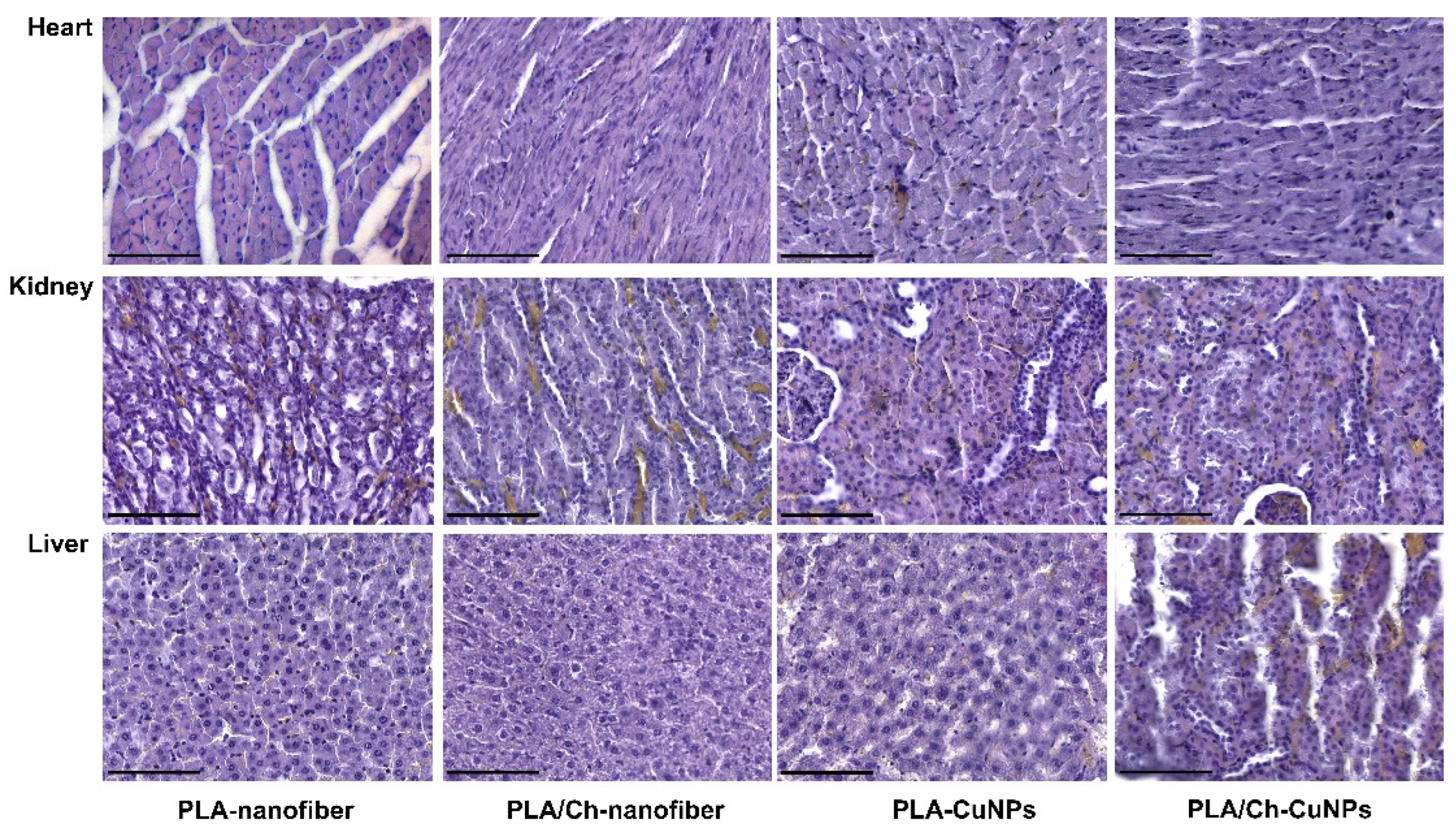 Polymers 16 02733 g0a3