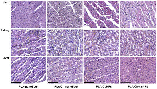 Polymers 16 02733 g0a4