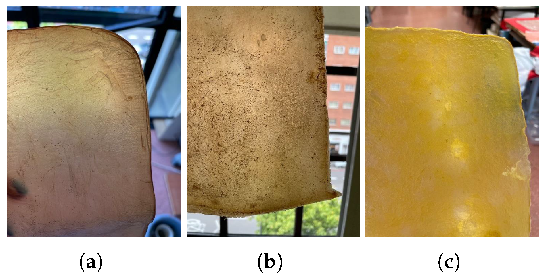 Polymers 16 02735 g013