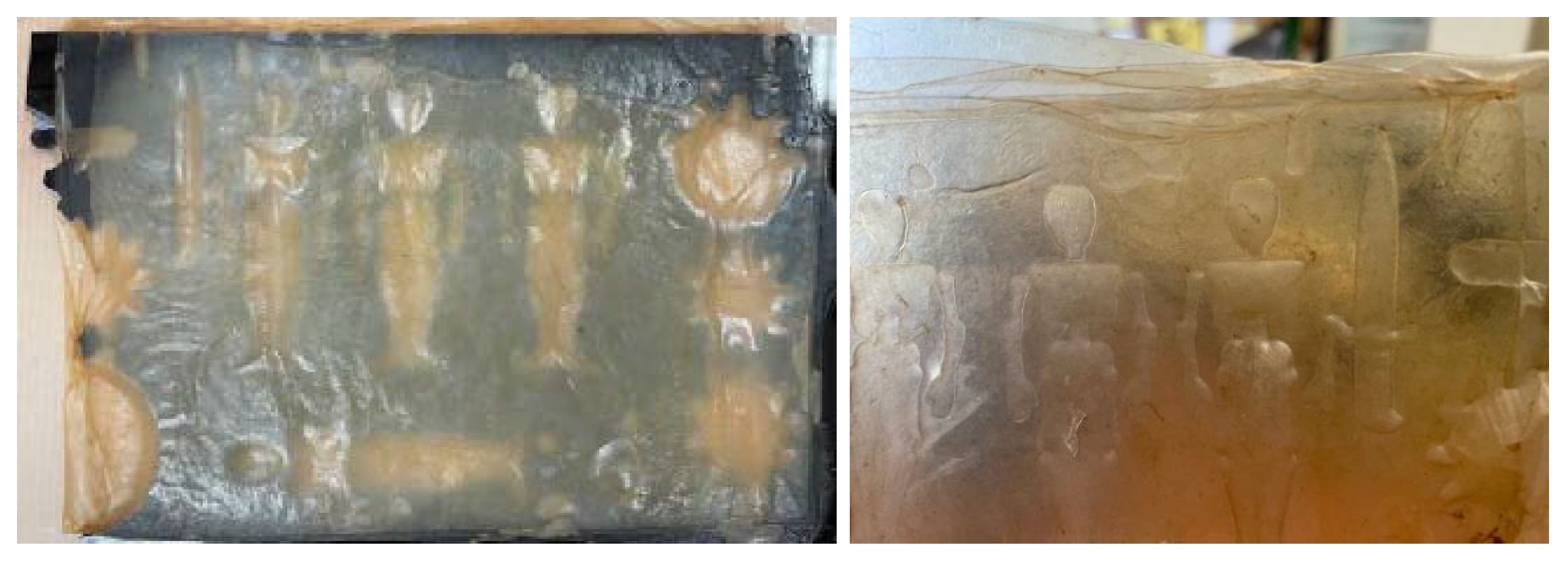 Polymers 16 02735 g015