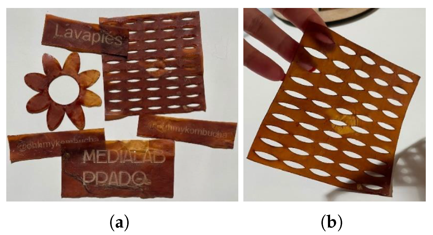 Polymers 16 02735 g016