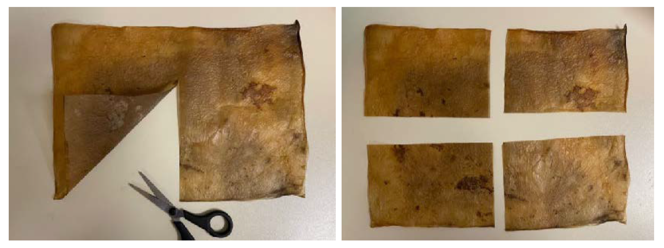 Polymers 16 02735 g017