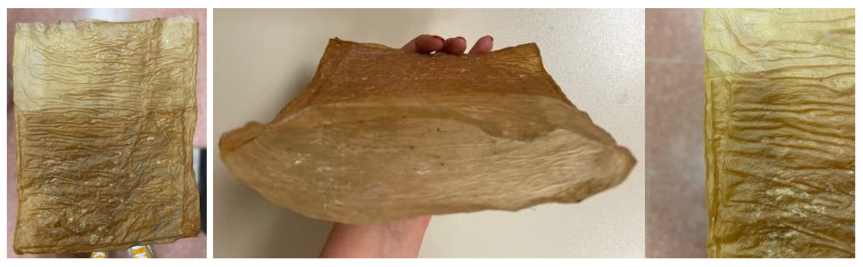 Polymers 16 02735 g021