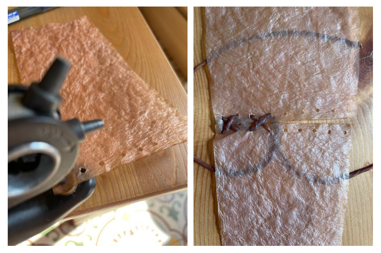 Polymers 16 02735 g025