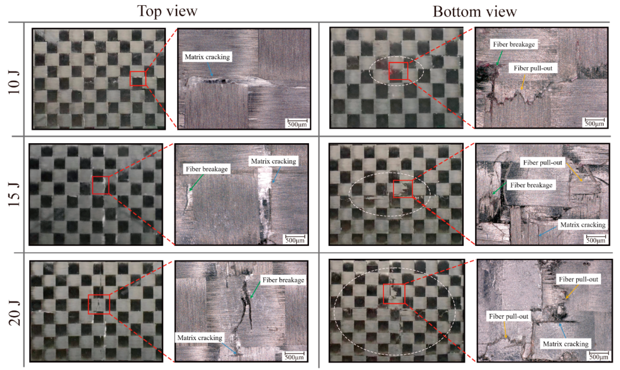 Polymers 16 02740 g010