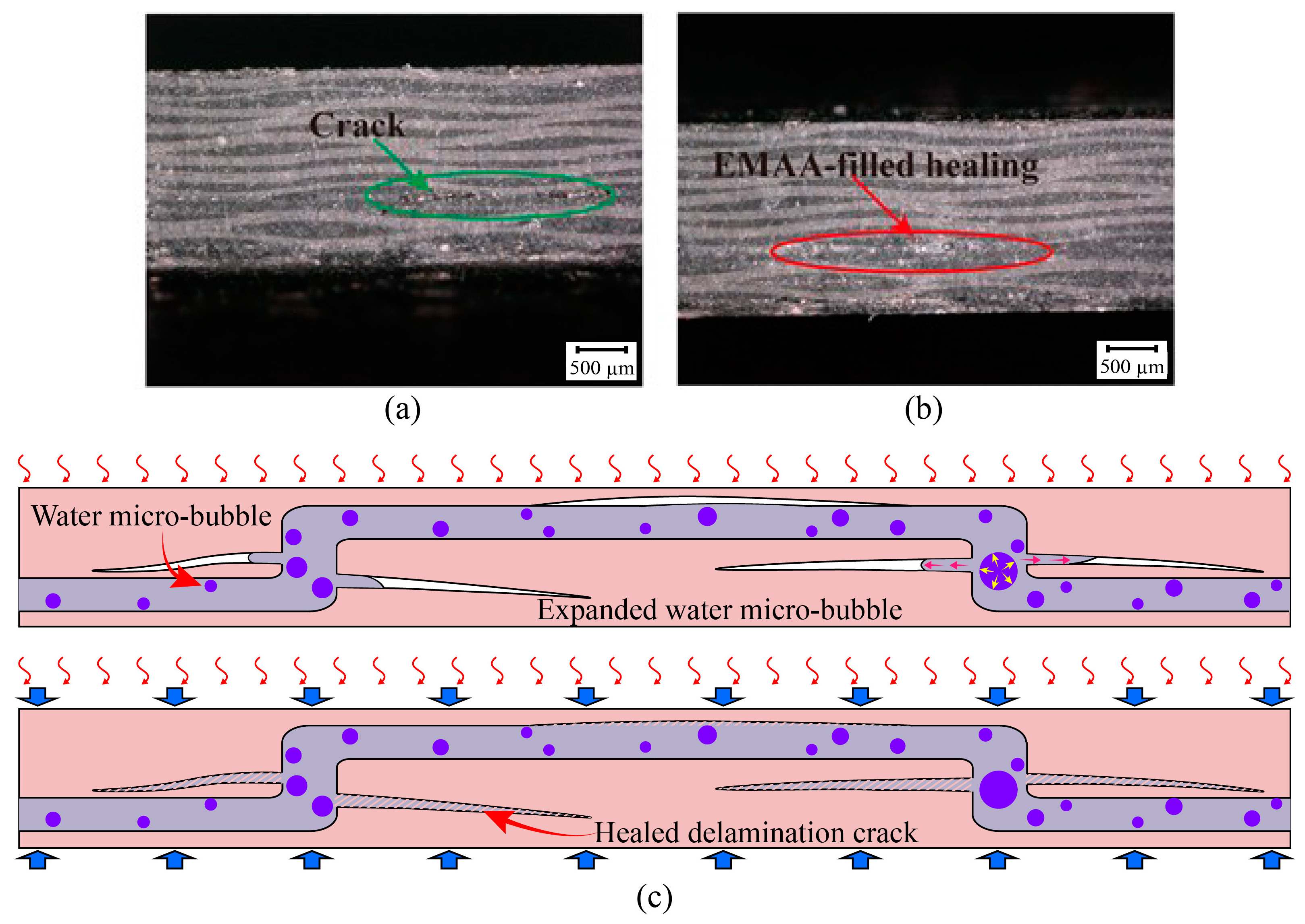 Polymers 16 02740 g015