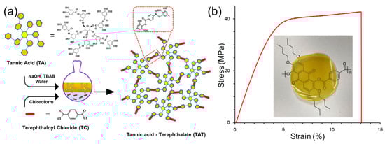 Polymers 16 02752 g008