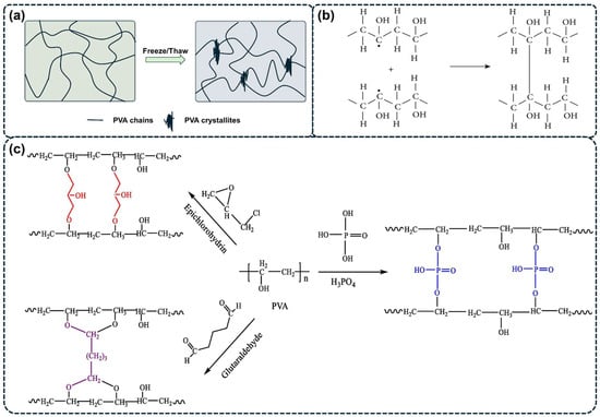 Polymers 16 02755 g002