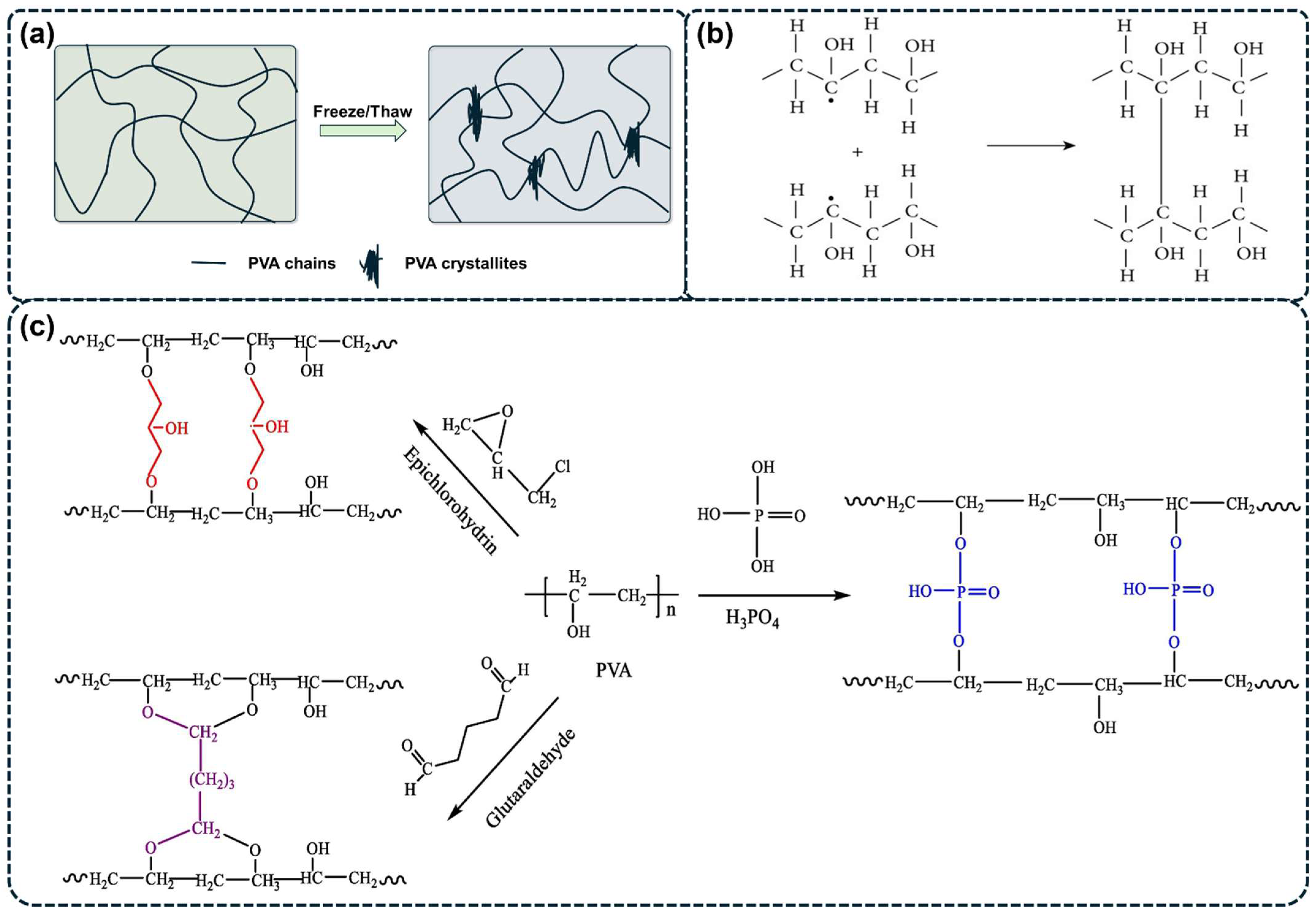 Polymers 16 02755 g002