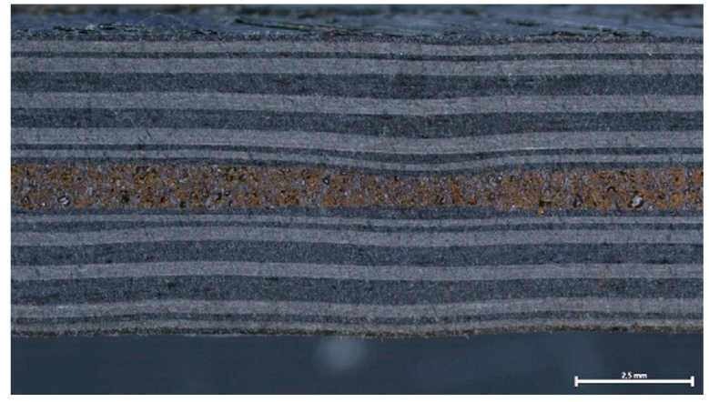 Polymers 16 02760 i003