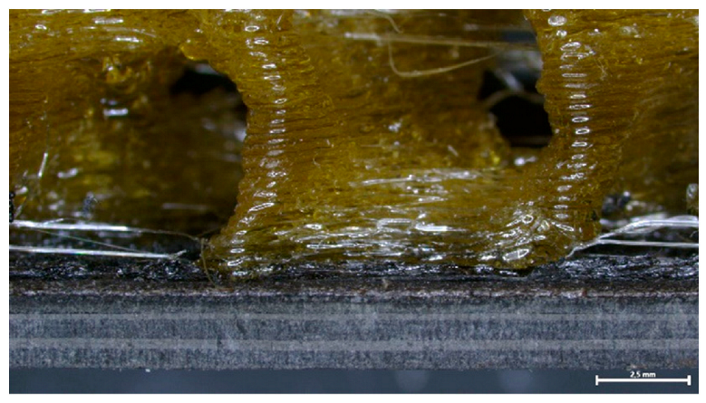 Polymers 16 02760 i004