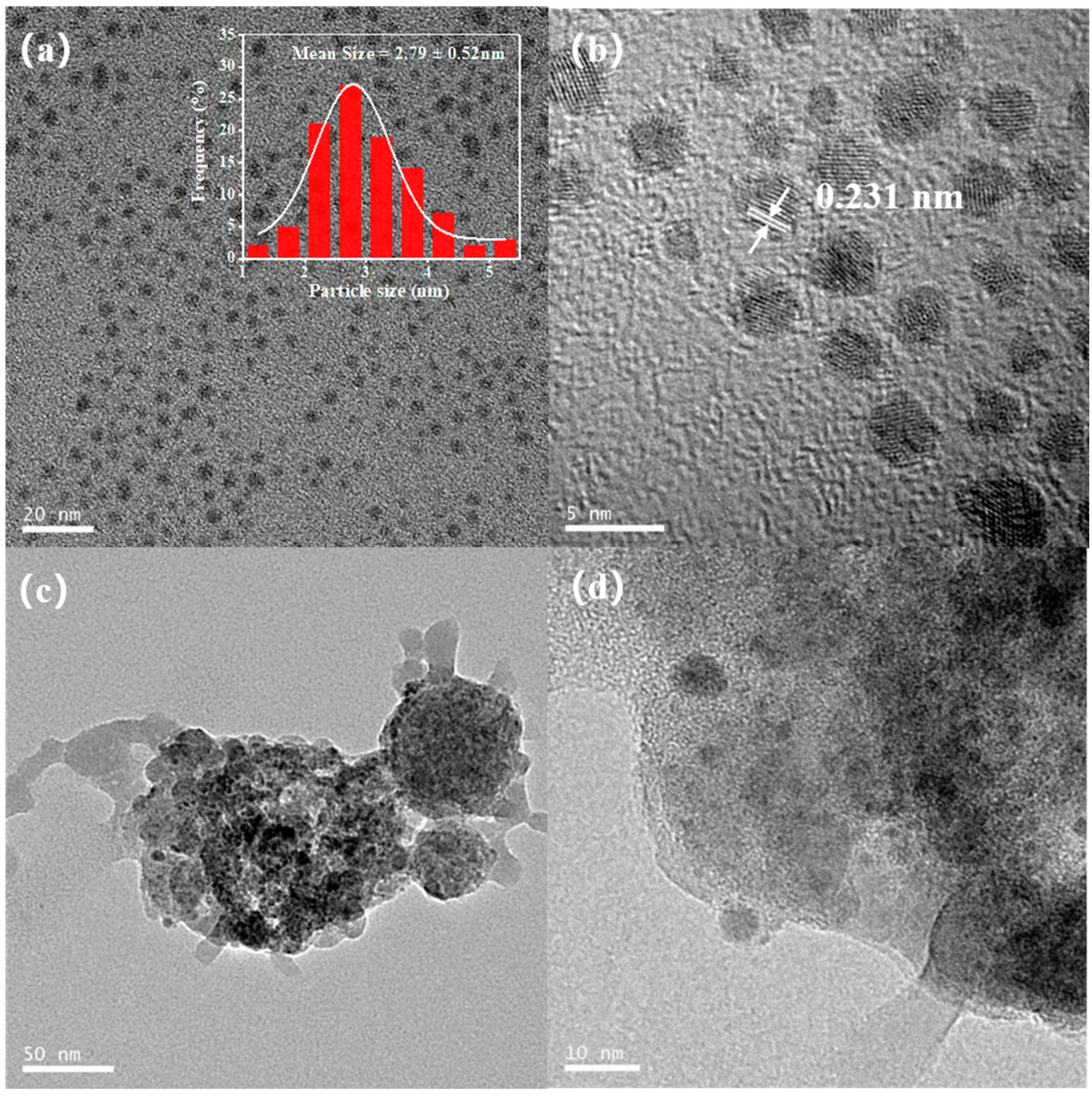 Polymers 16 02764 g002