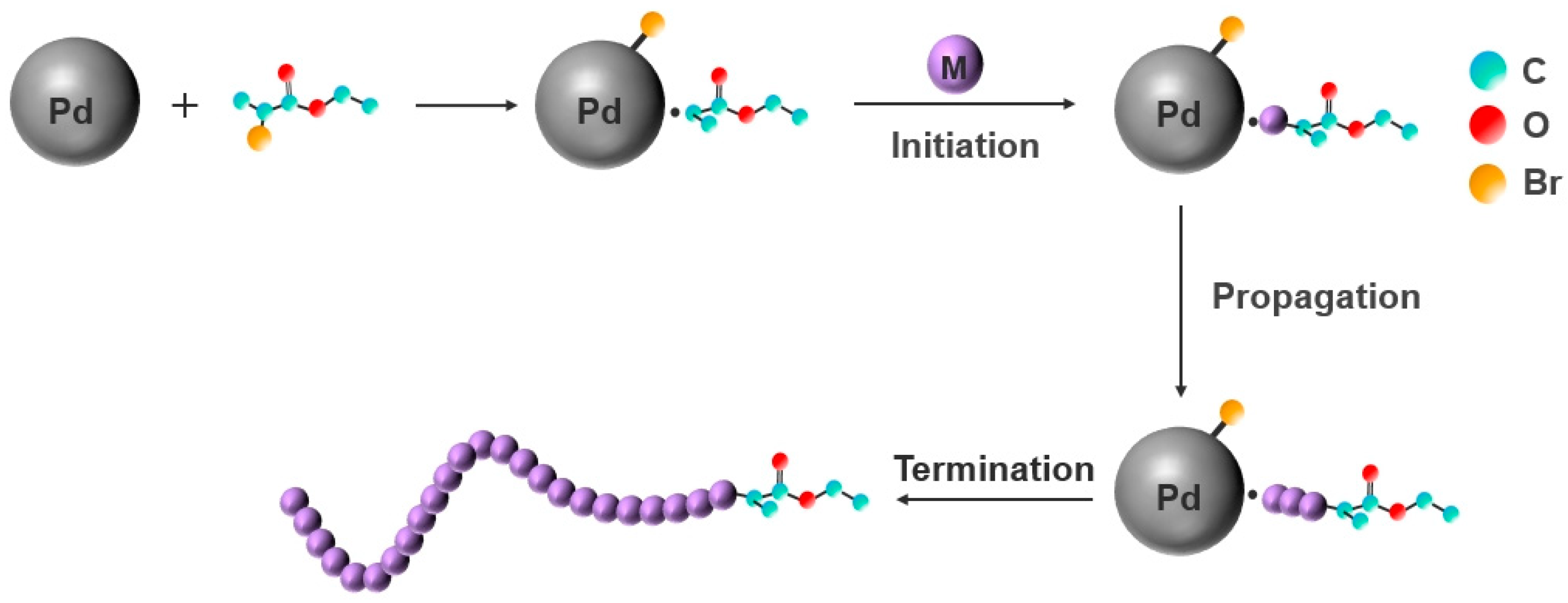 Polymers 16 02764 g009