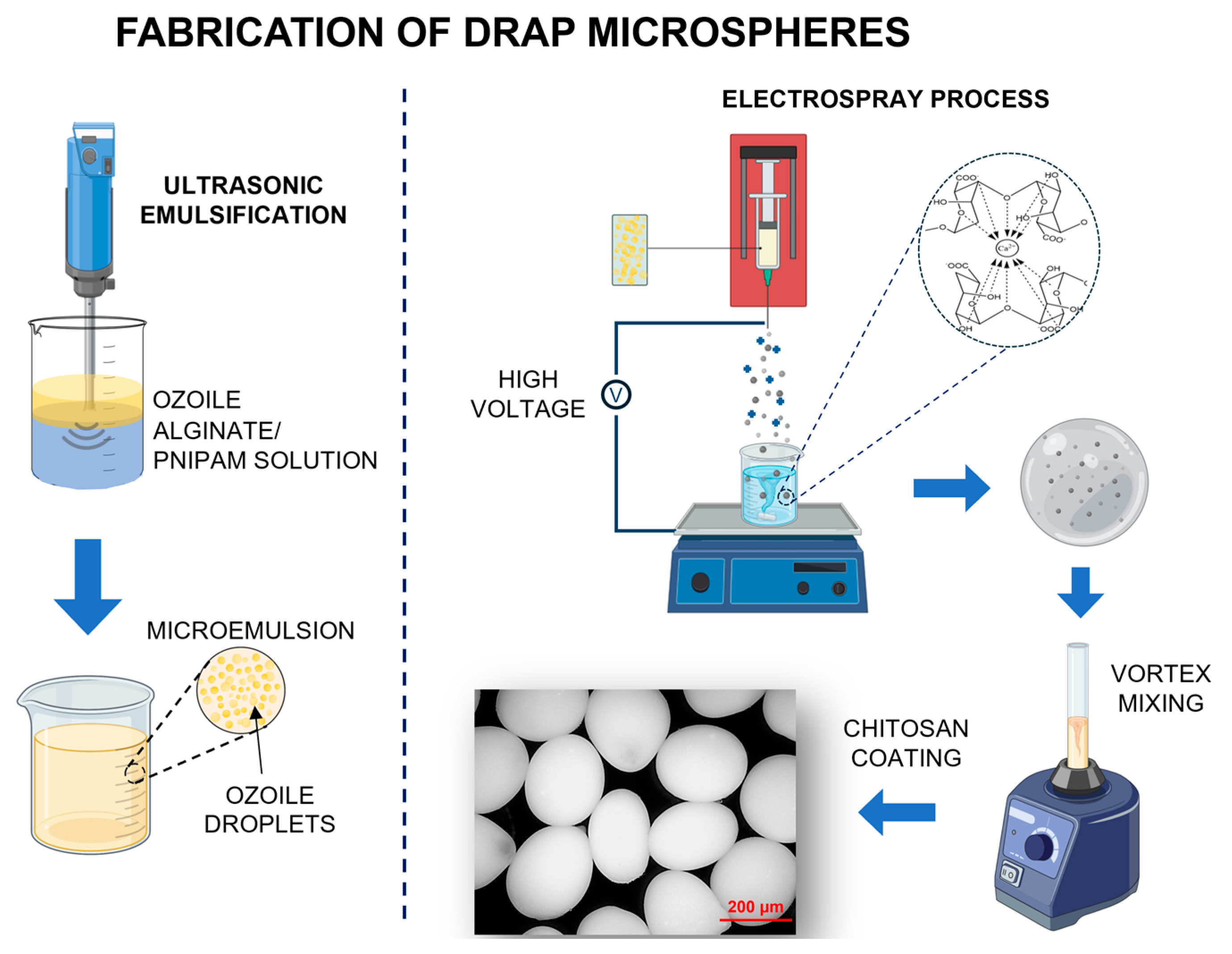 Polymers 16 02765 g001