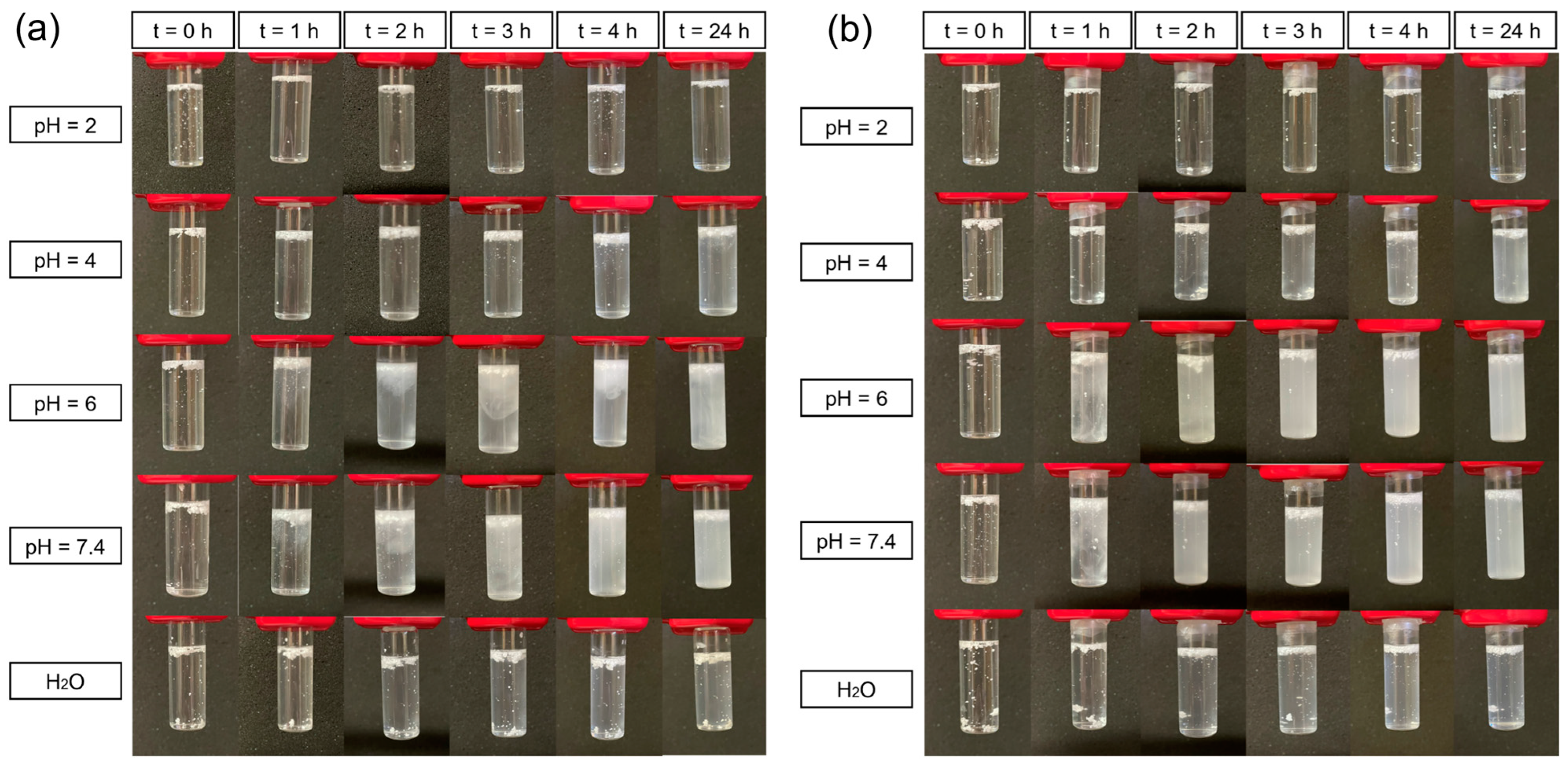 Polymers 16 02765 g011