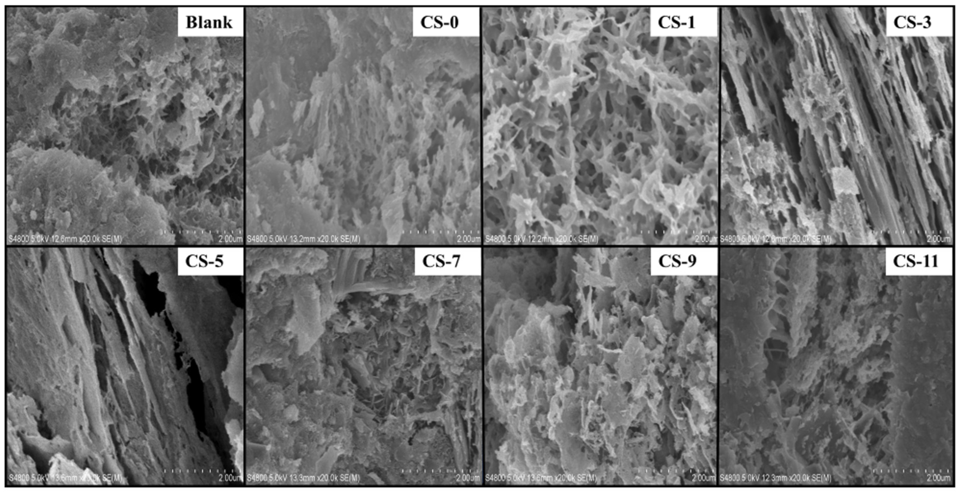 Polymers 16 02769 g010