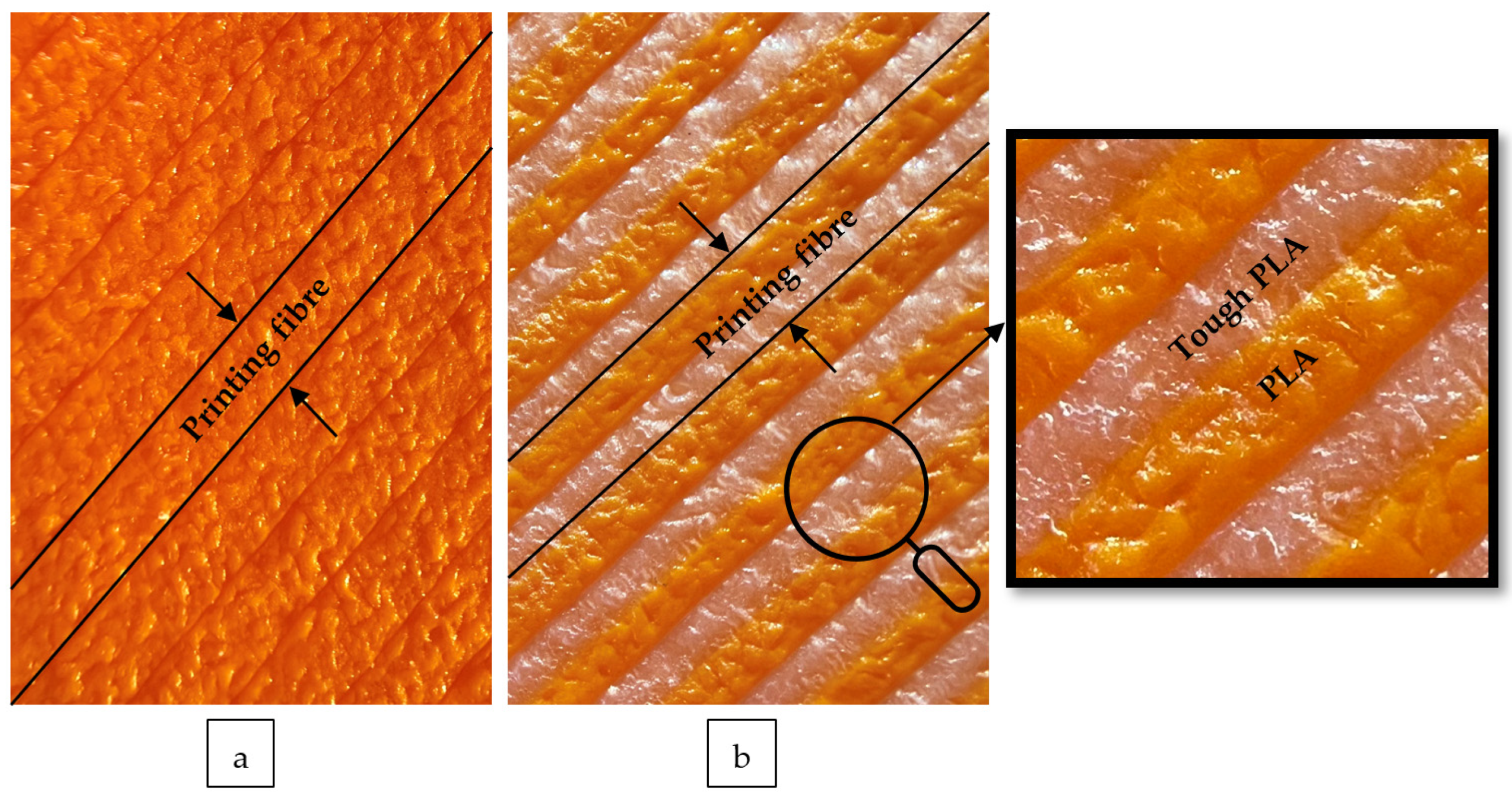 Polymers 16 02771 g004