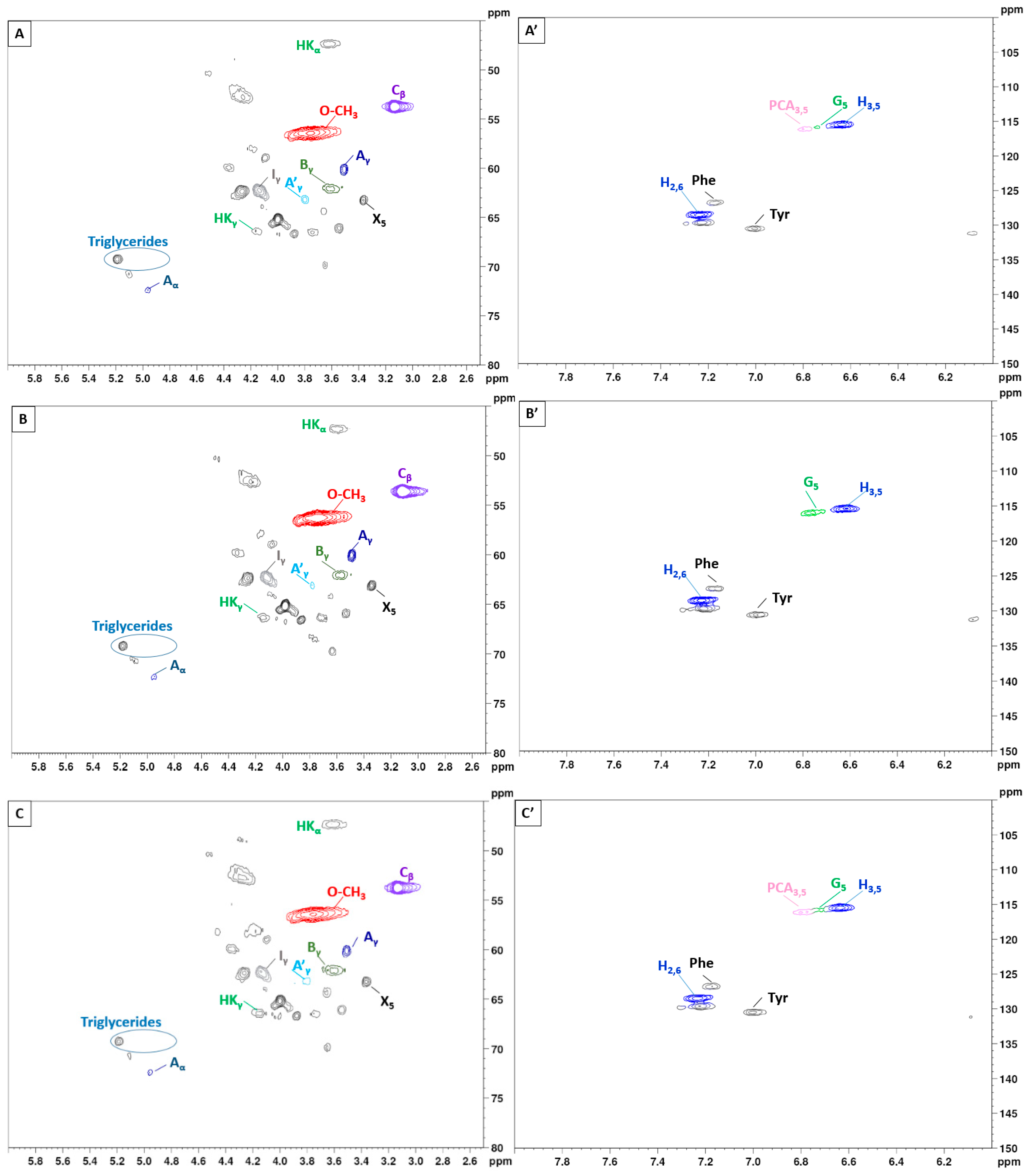 Polymers 16 02791 g005