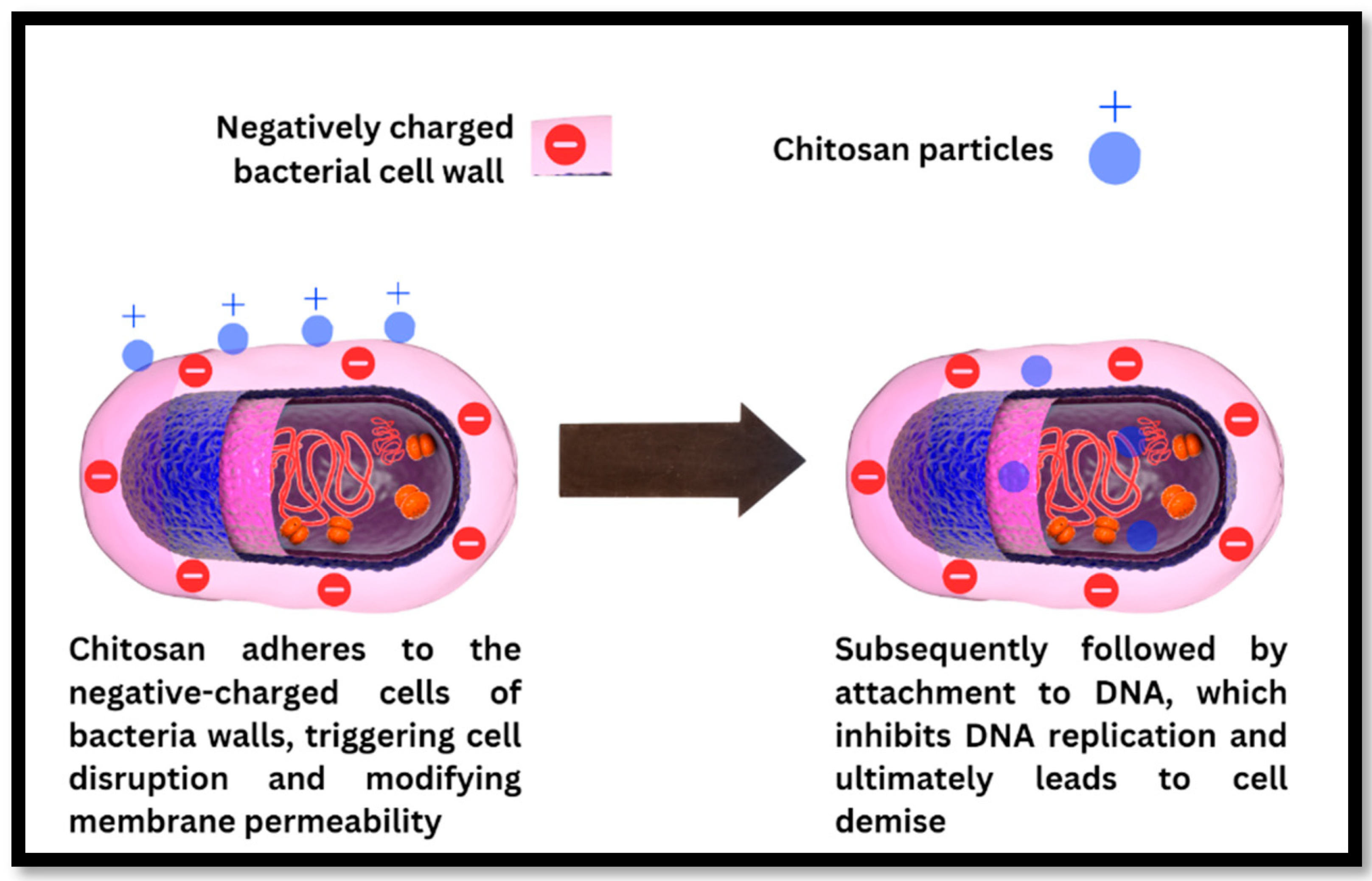 Polymers 16 02797 g005