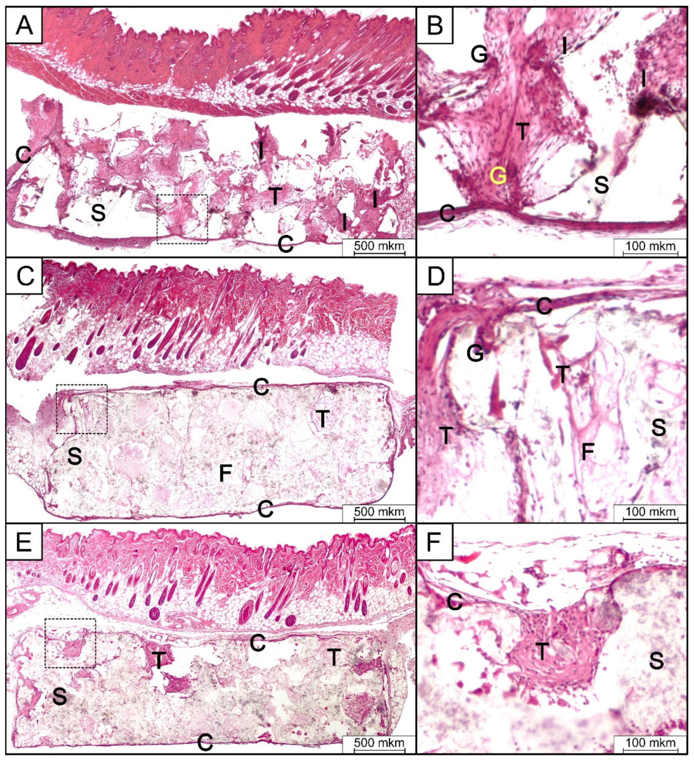 Polymers 16 02797 g009