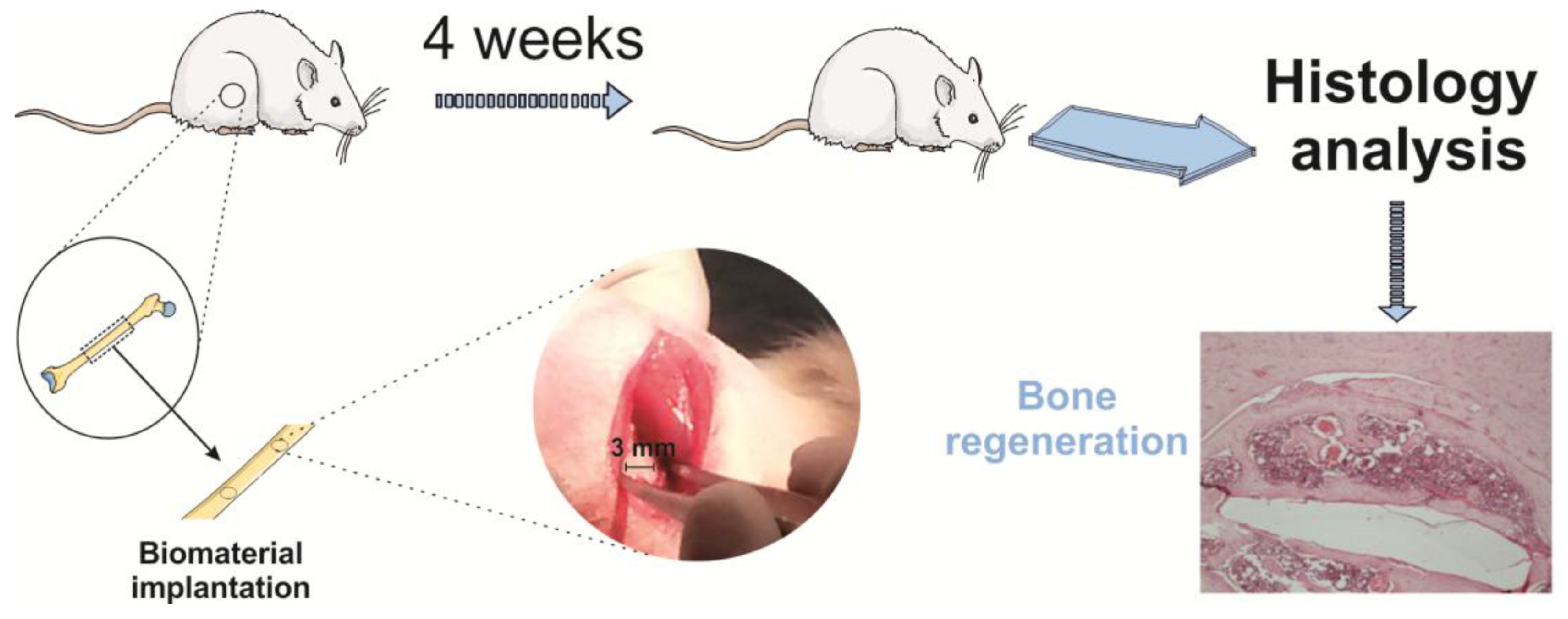 Polymers 16 02797 g010