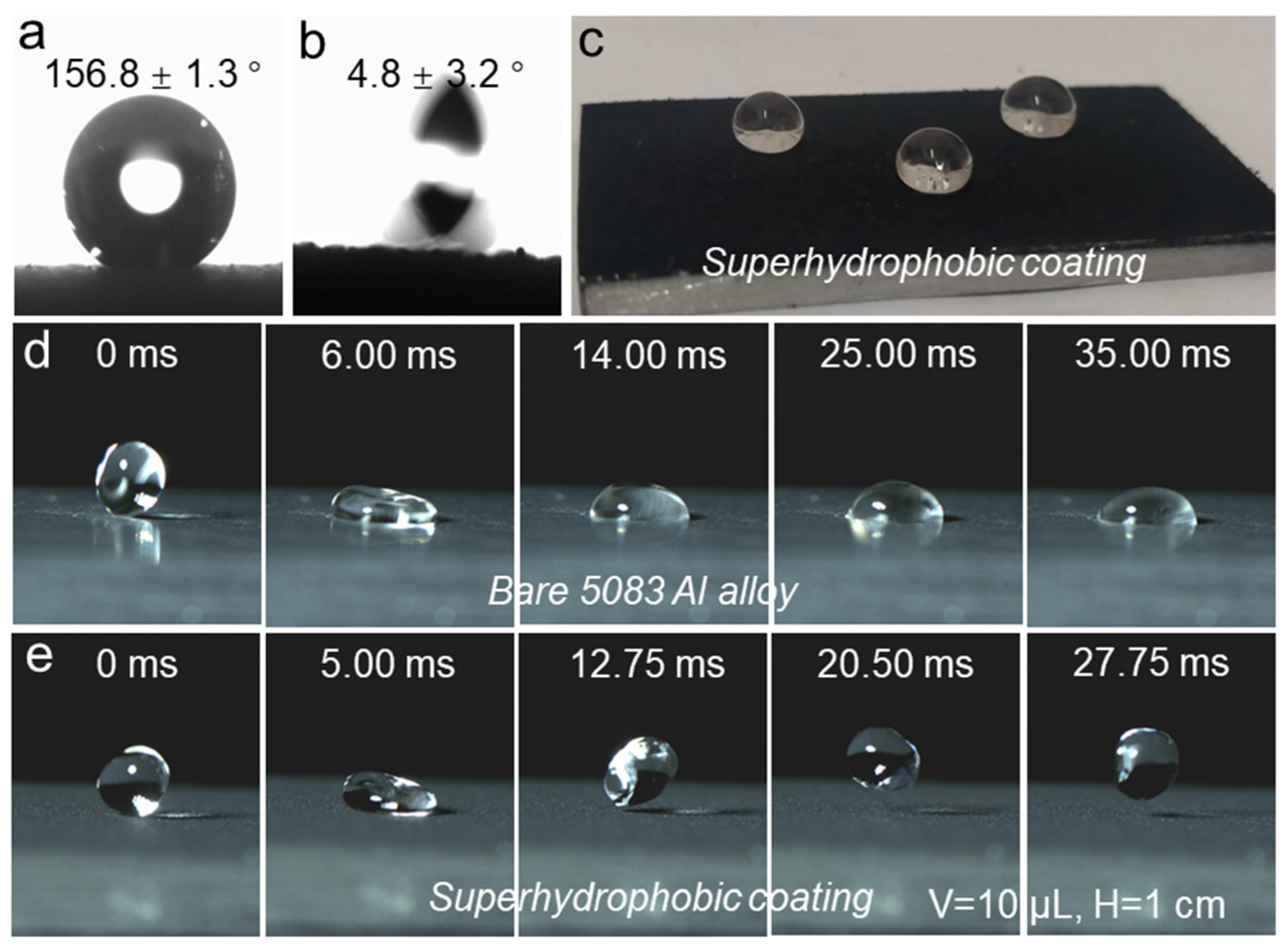 Polymers 16 02800 g002