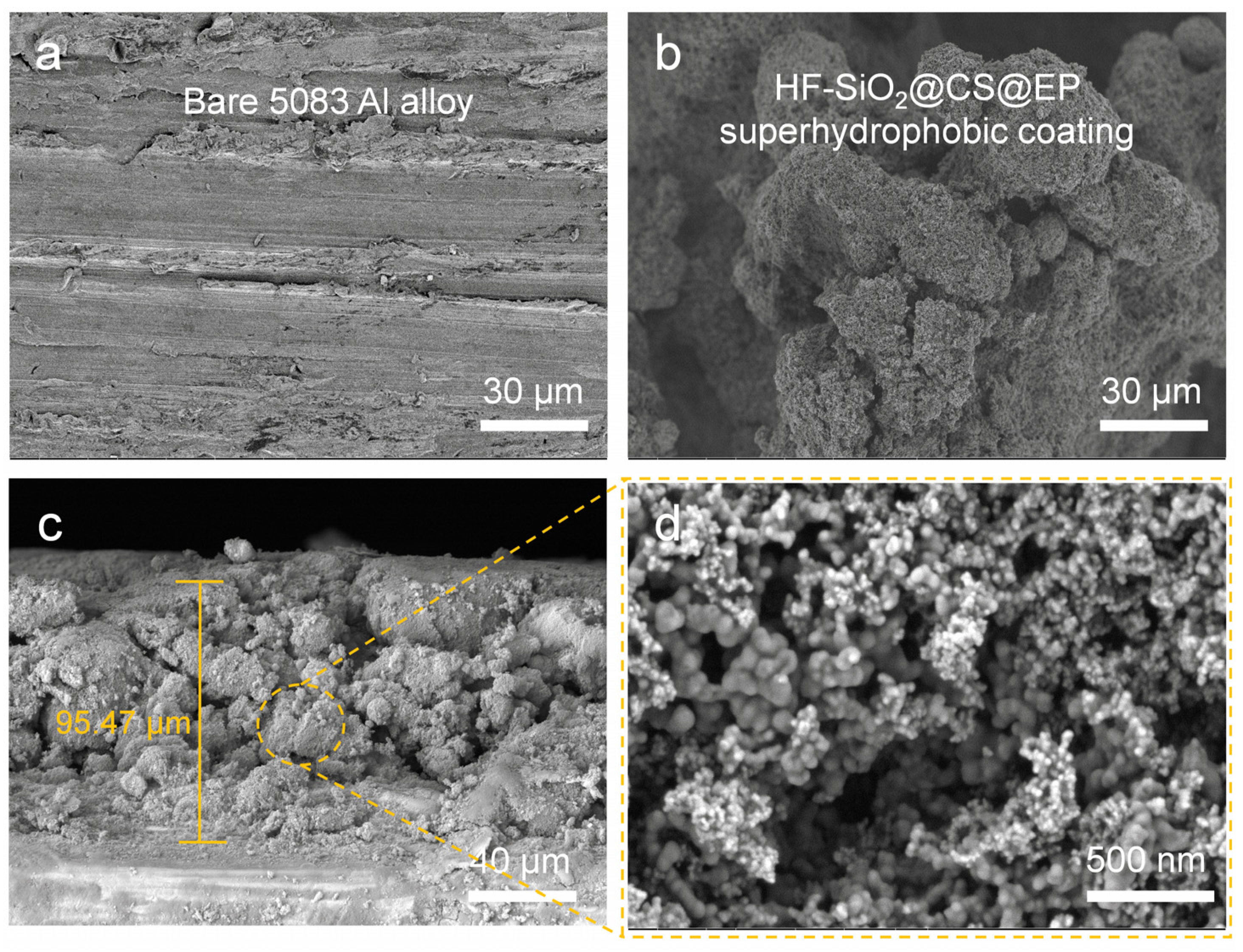 Polymers 16 02800 g003