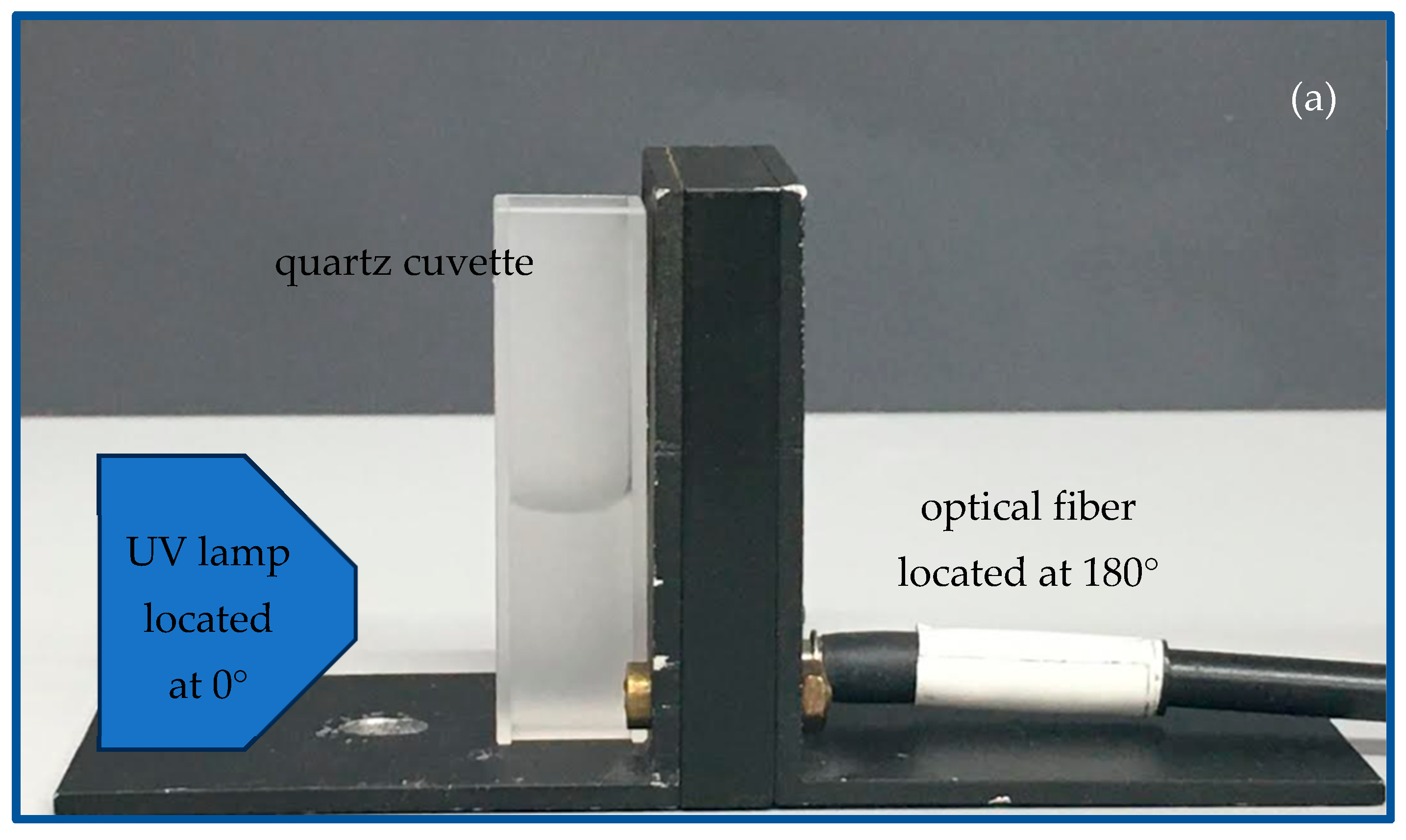 Polymers 16 02801 g004a