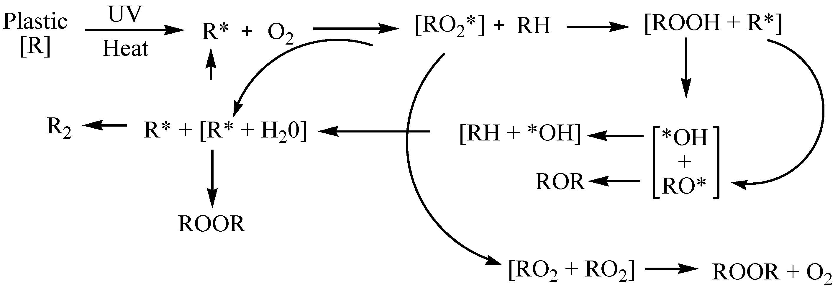Polymers 16 02803 g002