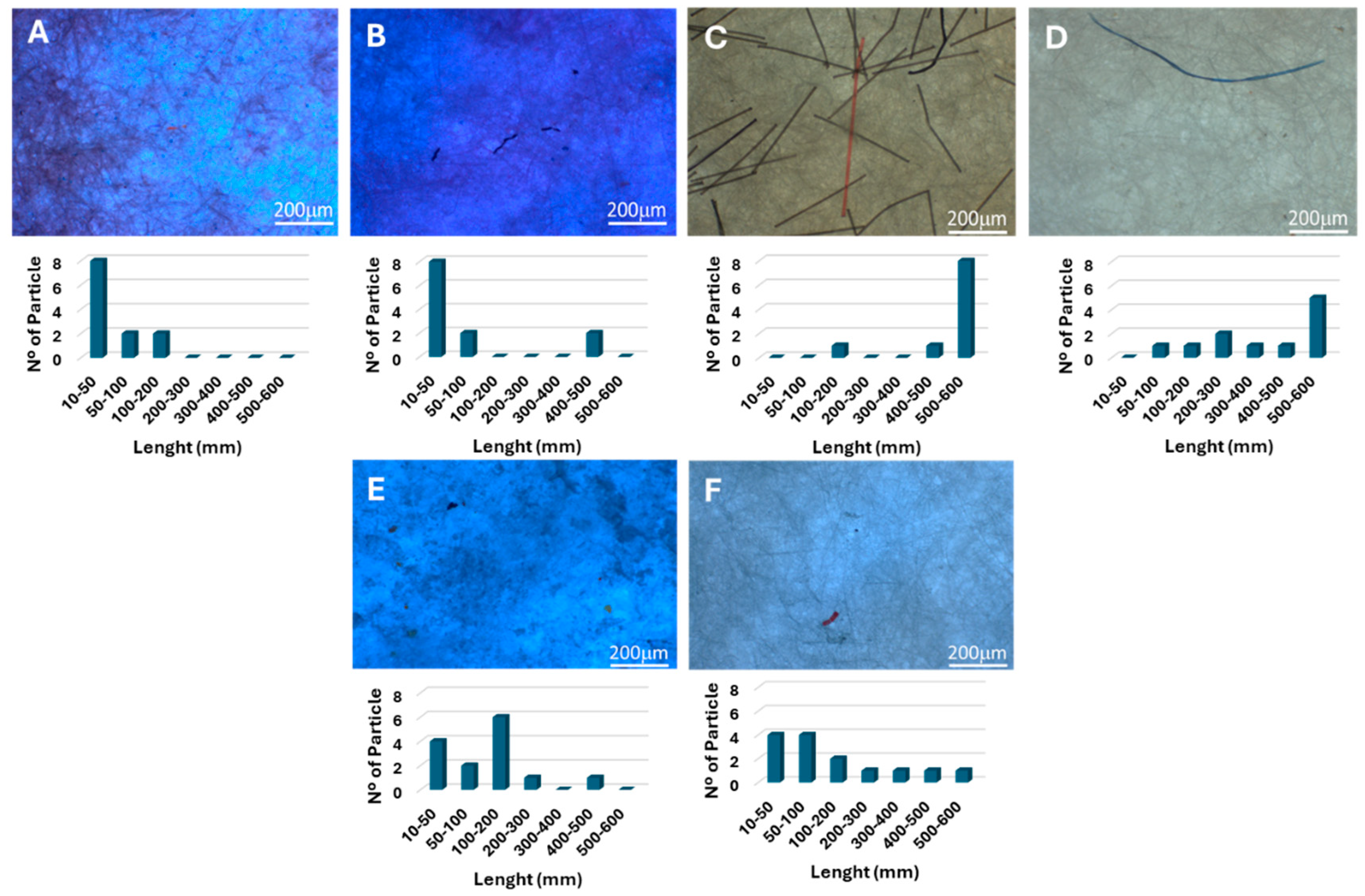 Polymers 16 02803 g005