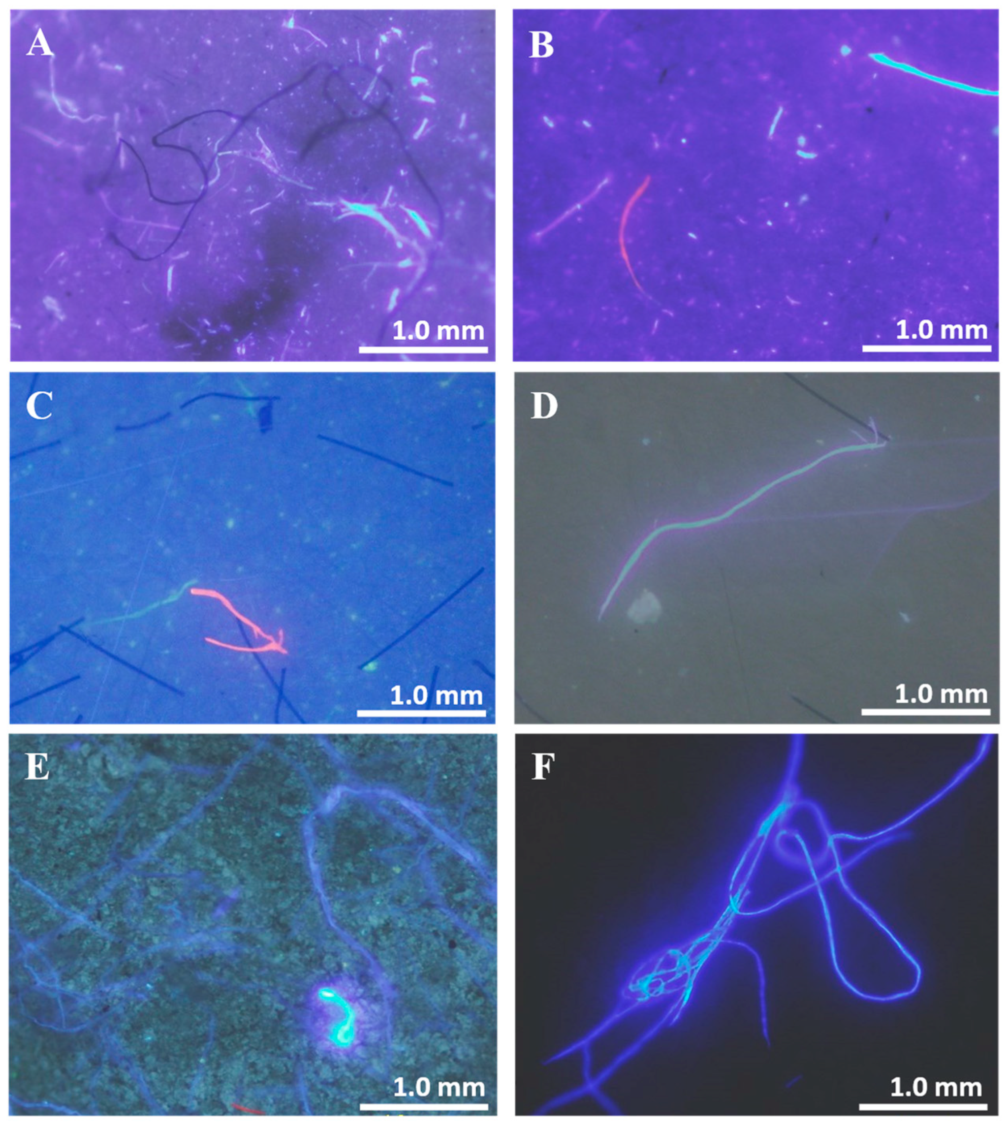 Polymers 16 02803 g007