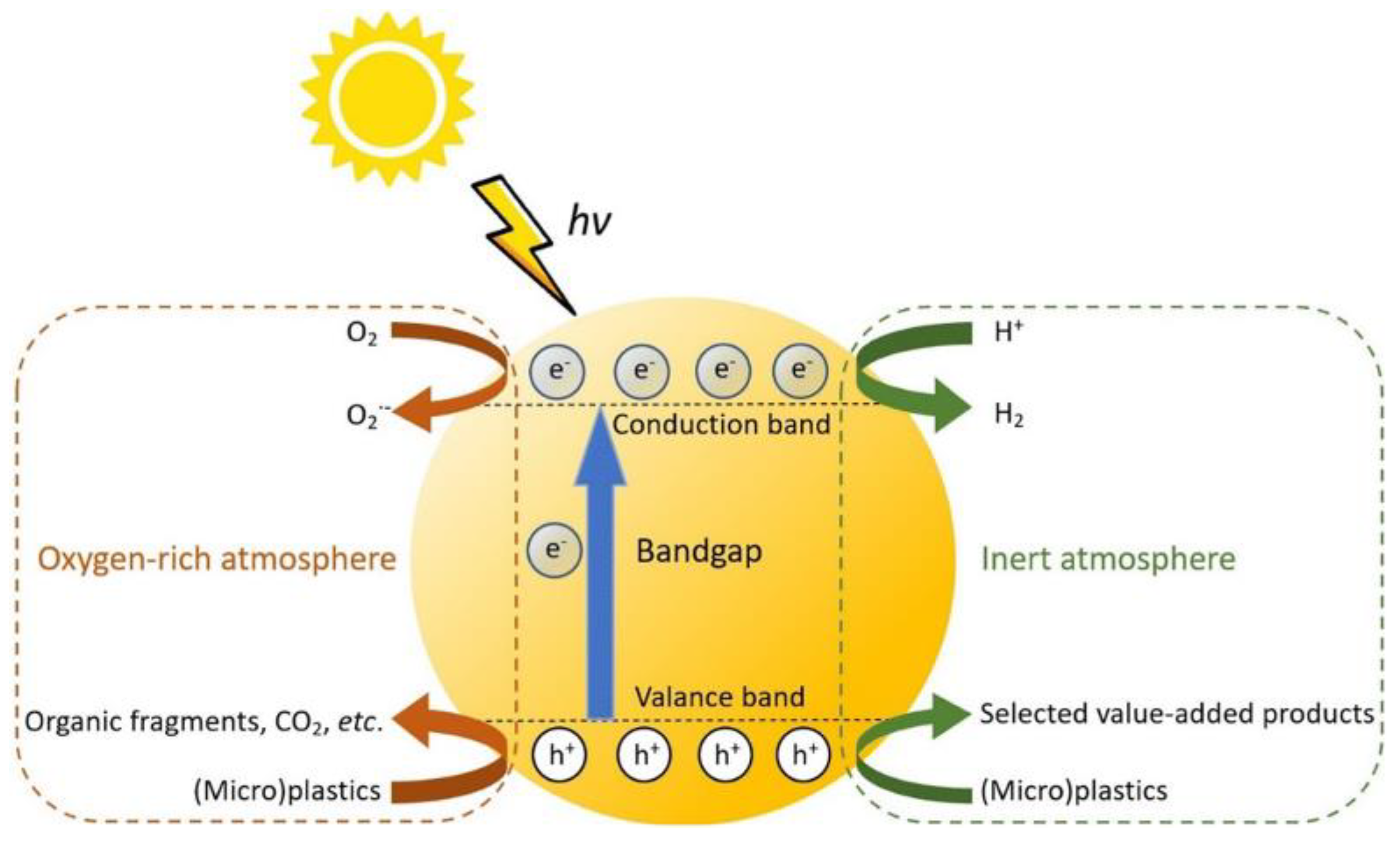 Polymers 16 02807 g002