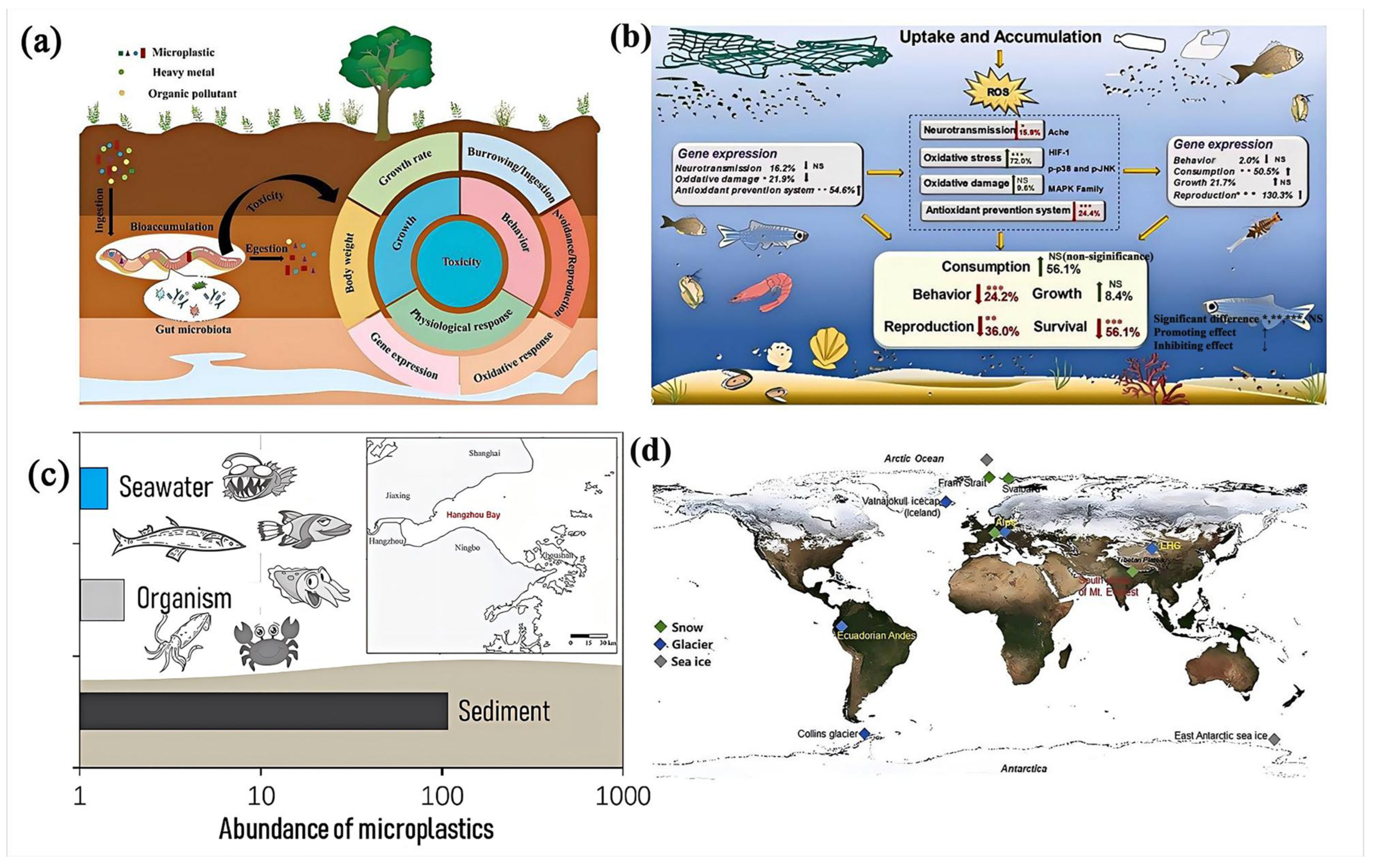 Polymers 16 02807 g004