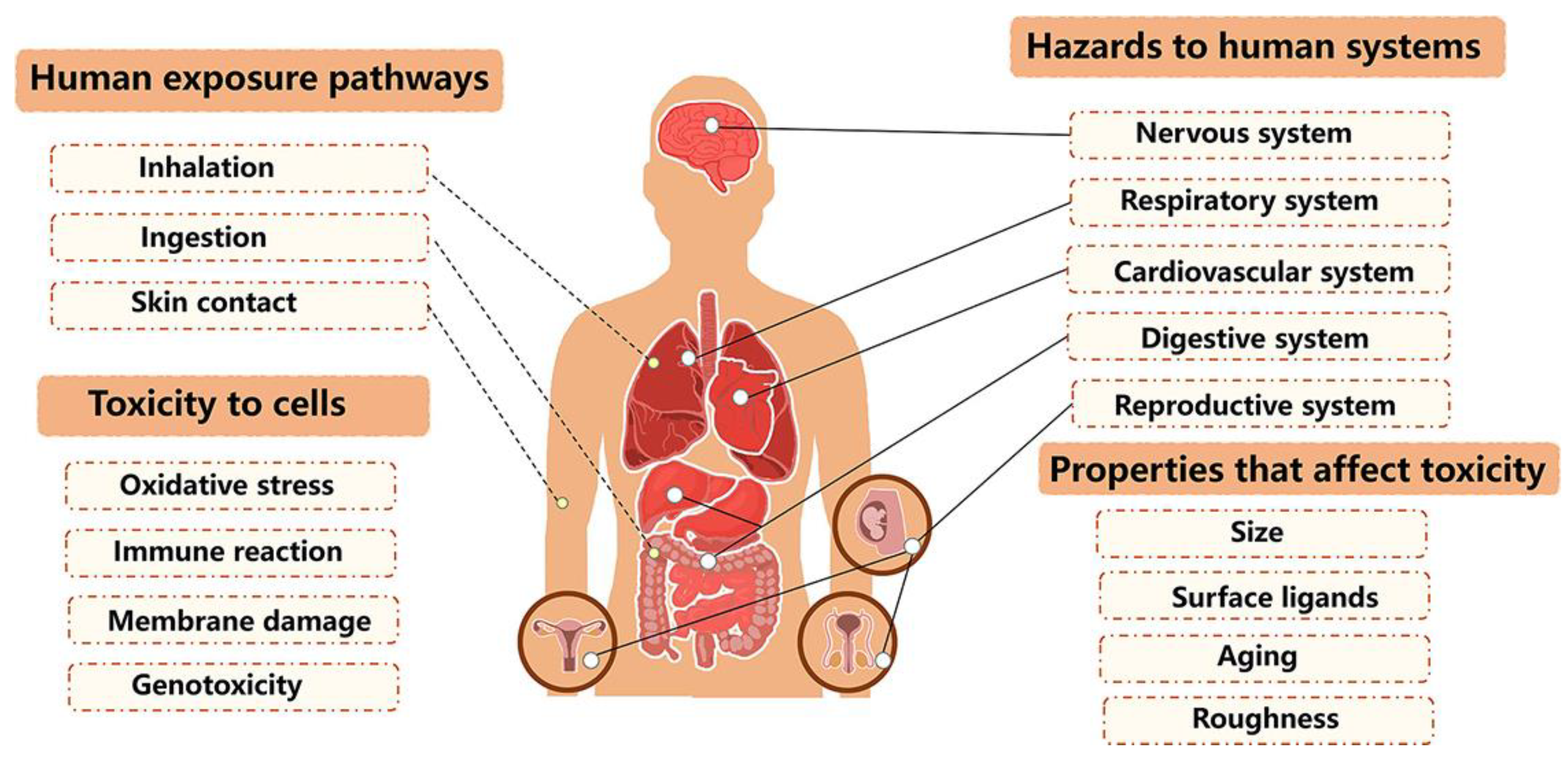 Polymers 16 02807 g005