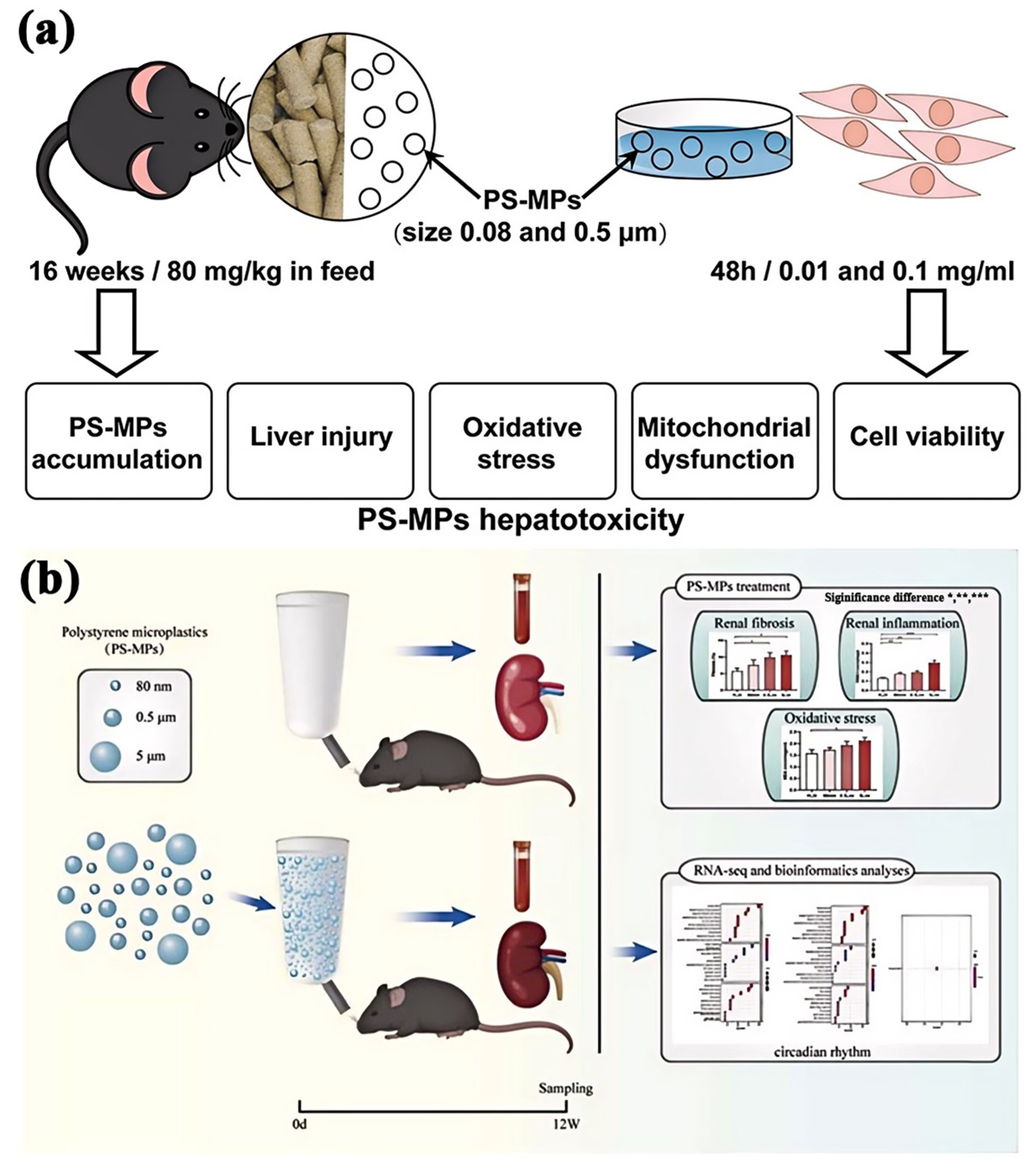 Polymers 16 02807 g006