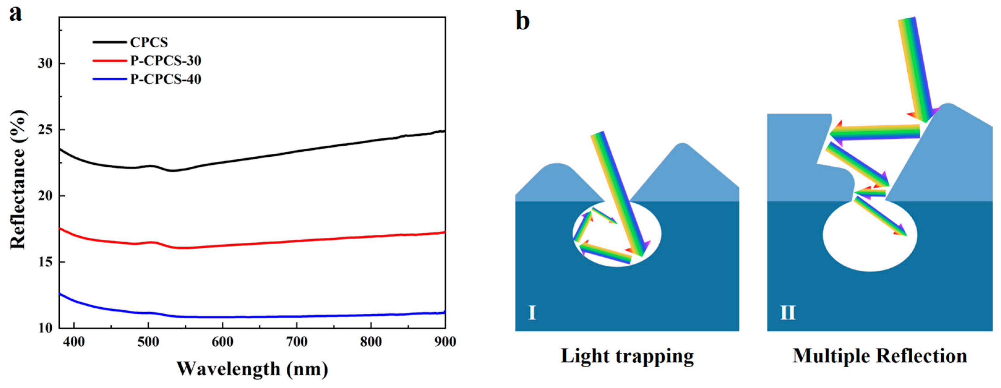 Polymers 16 02813 g005