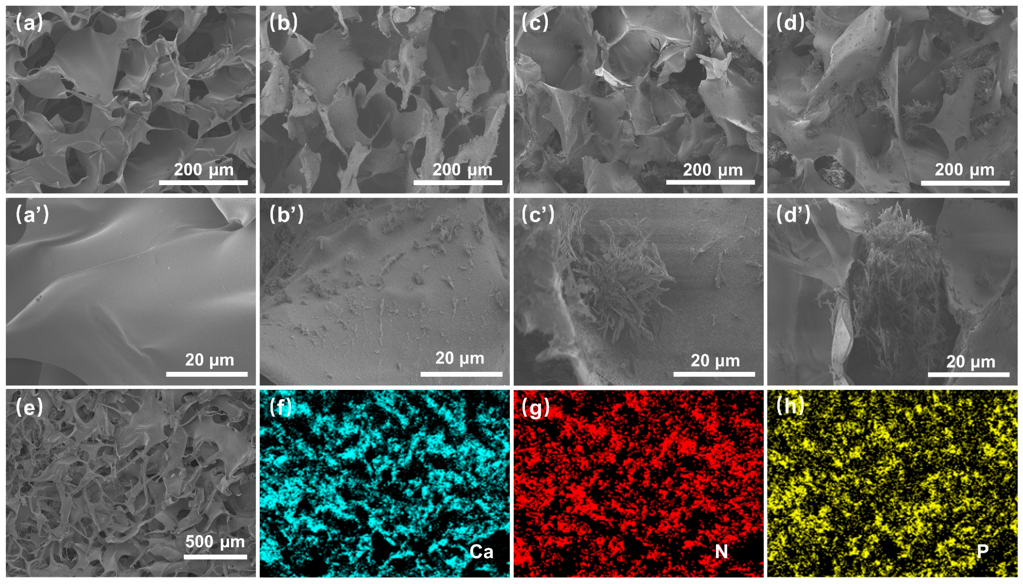 Polymers 16 02814 g003 Polymers 16 02814 g003