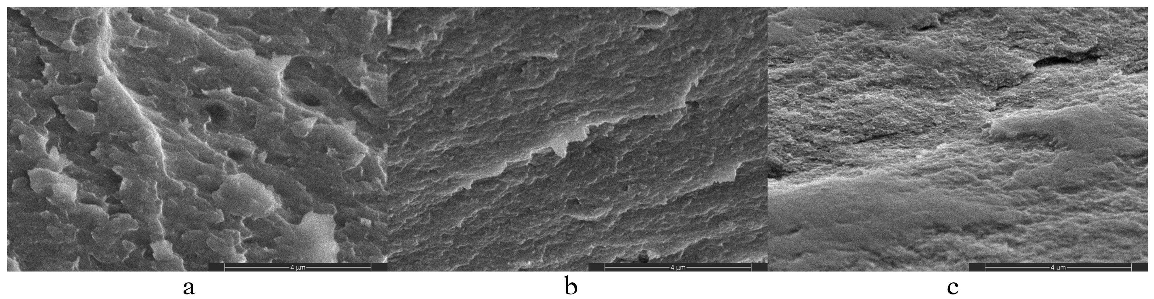 Polymers 16 02819 g003