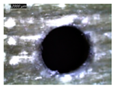 Polymers 16 02823 i005