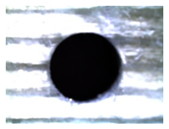 Polymers 16 02823 i019