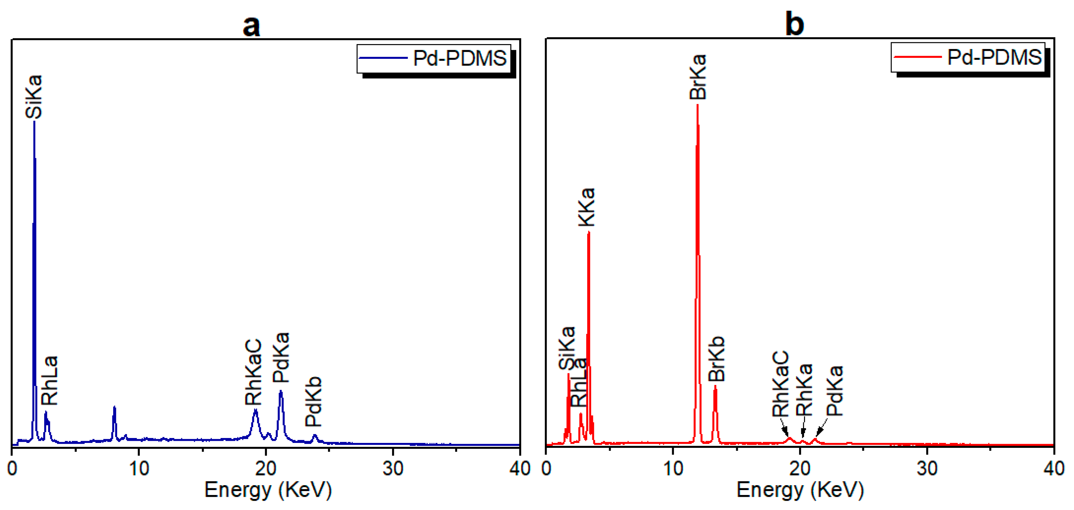 Polymers 16 02826 g003
