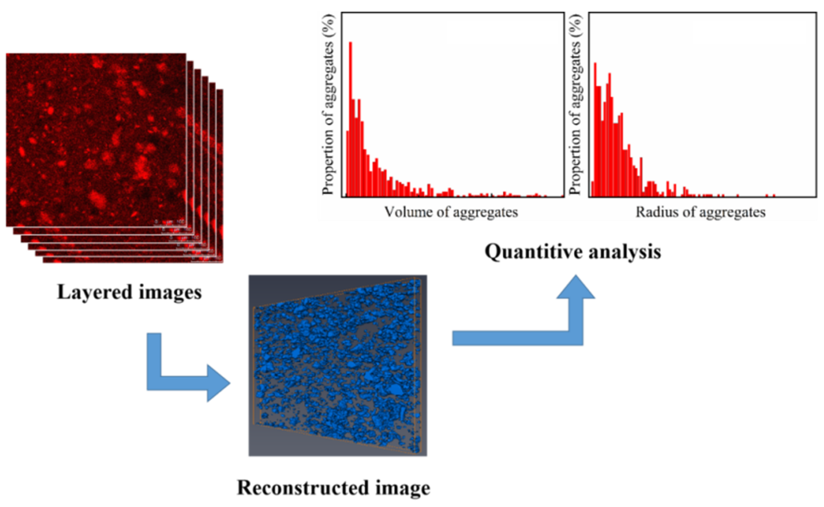 Polymers 16 02829 g001